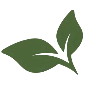 fire icon